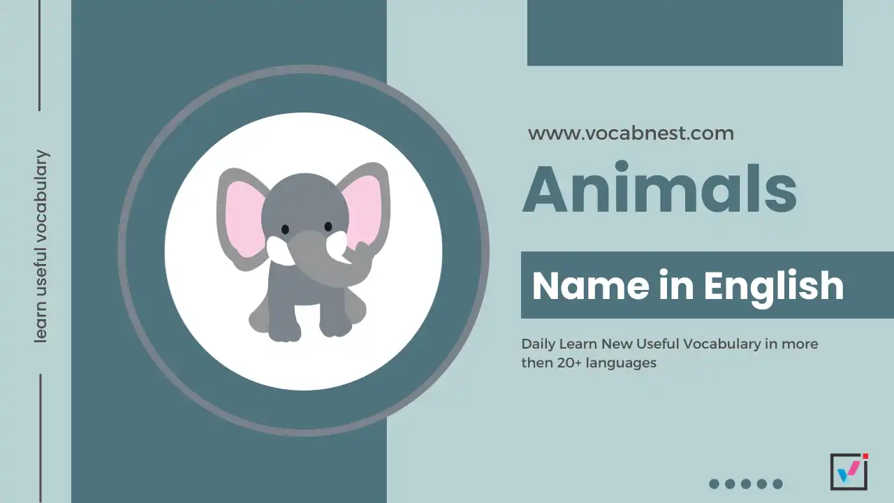 animals name in english