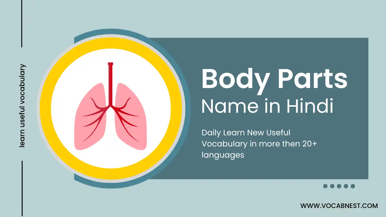 internal organs name in hindi and english