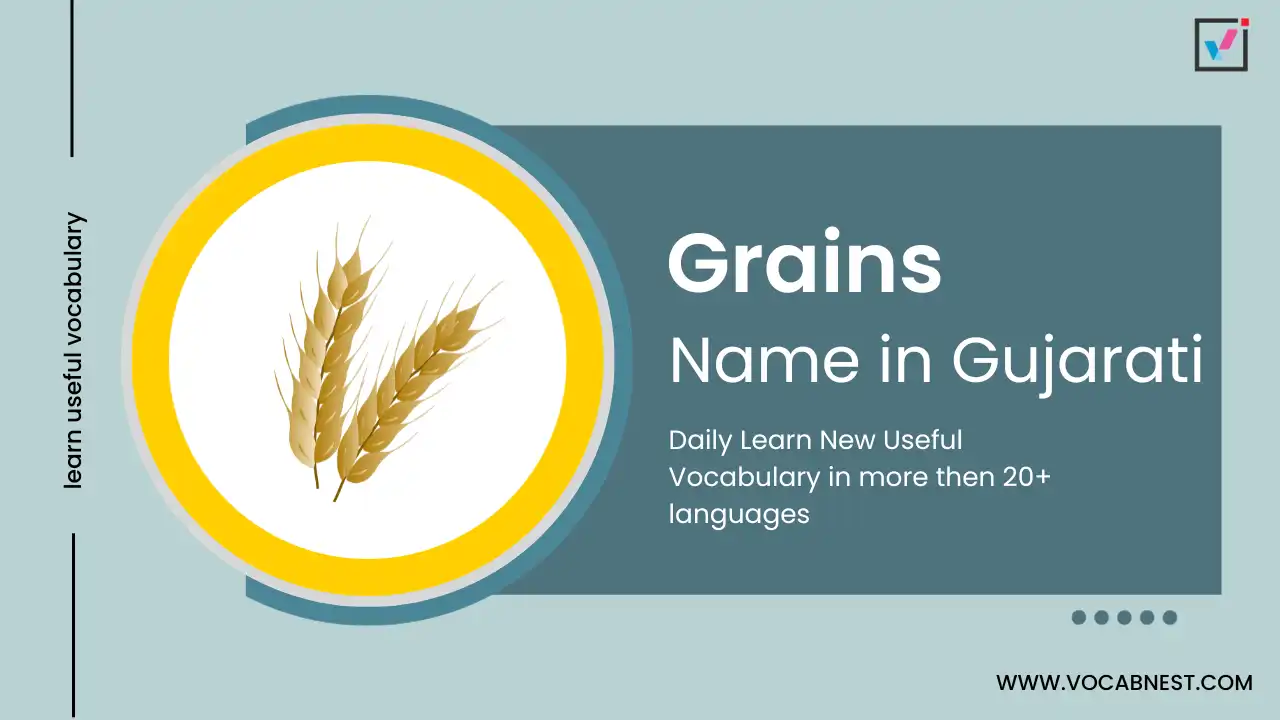 grains name in gujarati and english