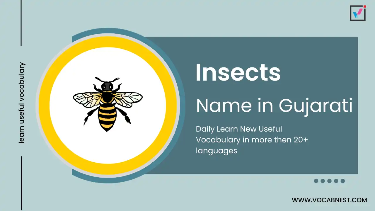 insects name in gujarati and english