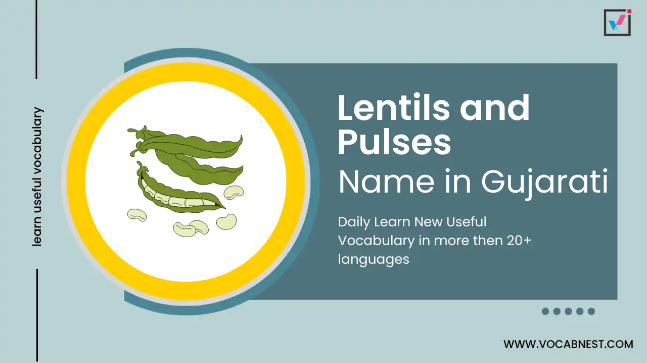 lentils and pulses name in gujarati and english