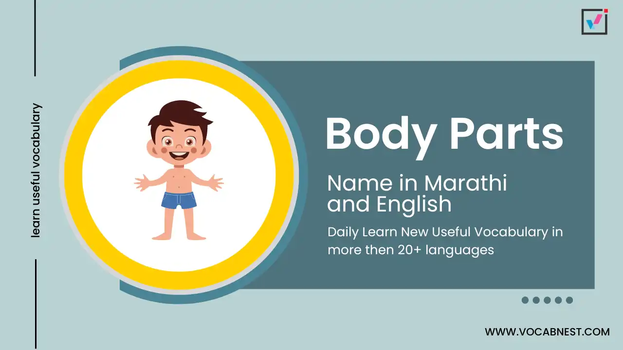 body parts name in marathi and english