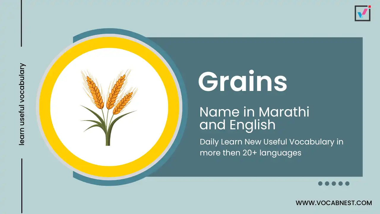 grains name in marathi and english