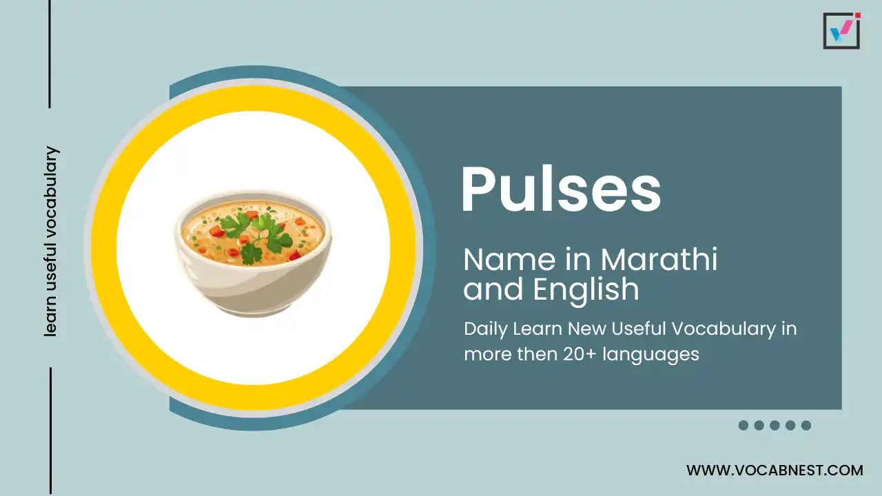 pulses name in marathi and english